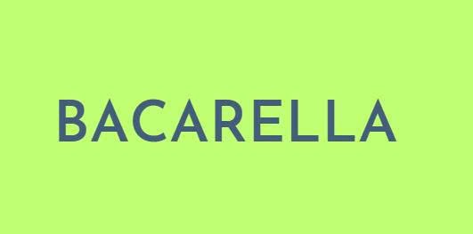 bacarella.epamerica.click